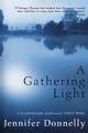 A Northern Light