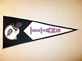 Tennessee Titans NFL Classic Football Pennant