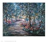 Shadows Dancing Art Print Poster By Bobby Sikes, 34 ' x 30 '