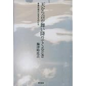 天から音が舞い降りてくるとき―音楽の彼方にあるものに〈2〉 (音楽の彼方にあるものに (2))