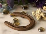 Cast Iron Rust Color Horse Shoe