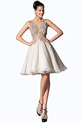 Chiffon/Tulle Cocktail Above the Knee Sleeveless Round Neck Lace 2014 Party Dress 