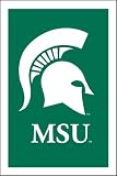 Michigan State University Spartans Flag - Regular Size