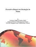 Executive Report on Strategies in Palau