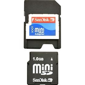 SanDisk 1GB miniSD Card (SDSDM-1024-A10M, Retail Package)