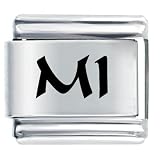 Mi Michigan State Italian Charms Bracelet Link