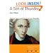 A Son of Thunder: Patrick Henry and the American Republic