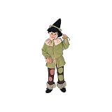 Child Halloween Costume ~ Rubies Wizard Of OZ Scarecrow