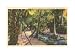 McKee Jungle Gardens, Vero Beach, Florida Art Poster Print, 17x11