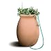 Algreen 81002 Agua 50-Gallon Rain Water Collection and Storage System