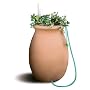 Algreen 81002 Agua 50-Gallon Rain Water Collection and Storage System