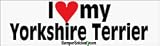 I Love My Yorkshire Terrier - bumper stickers (Large)
