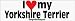 yorkshire terrier - I Love My Yorkshire Terrier - bumper stickers (Medium)