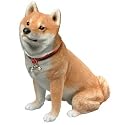 Companion Size - Shiba Inu, Fawn