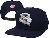 Pensacola Ice Pilots East Coast Hockey League Cap