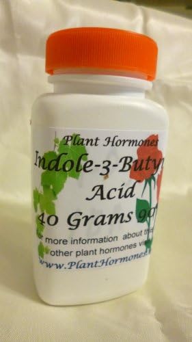 Indole-3 Butyric Acid 40 Grams 90% by CarolynYardSale (IBA)(3-indolebutyric acid, indolebutyric acid, IBA, 1H-Indole-3-butanoic acid)