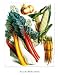From the Kitchen Garden, Art Poster