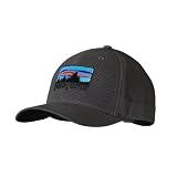 Patagonia Roger That Hat