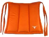 Texas Longhorns Chair Cushion