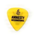 Guitar Picks (20 in a Pack)
