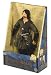 Toy Biz 81200 Herr der Ringe - Die Rückkehr des Königs ARAGORN ca. 28cm (Import)