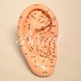 ���Ϸ�����cm�����ס����ܸ�ɽ���ʲ���Ȣ�դ��ˡ�