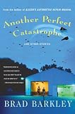 Another Perfect Catastrophe: and Other Stories