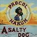 A Salty Dog