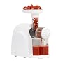 Big Boss Heavy-Duty Masticating Slow Juicer by Big Boss
