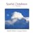 Spatial Databases: A Tour