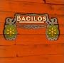 Bacilos