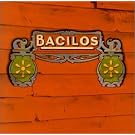 Bacilos