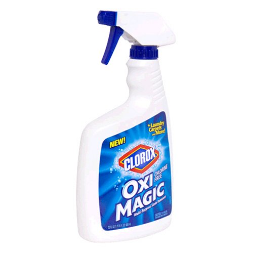 Clorox Multi-Purpose Stain Remover, Chlorine Free 22 fl oz (1 pt 6 fl oz) 650 ml