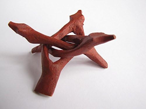 Abalone Shell Stand (M)