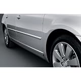 Custom Body Side Moldings for Toyota Prius 2010