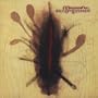 I Surrender 1 / Starred / Dreaming / Fleurs