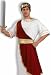 Caesar Toga Party Roman Julius Caesar Halloween Costume Adult Standard (Chest 42-44