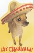 Greeting Card Birthday Spanish "Ay Chihuahua!" Translation on Back