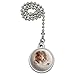 GRAPHICS & MORE Shetland Sheepdog Dog Breed Ceiling Fan and Light Pull Chain