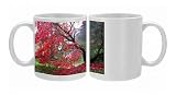 Batsford Arboratun Photo Mugs