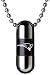 NFL New England Patriots Dream Capsule