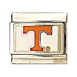 Tennessee Volunteers