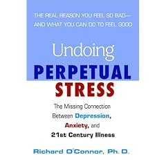 Undoing Perpetual Stress: The Missing Connection Between Depression, Anxiety, And 21st Century Illness