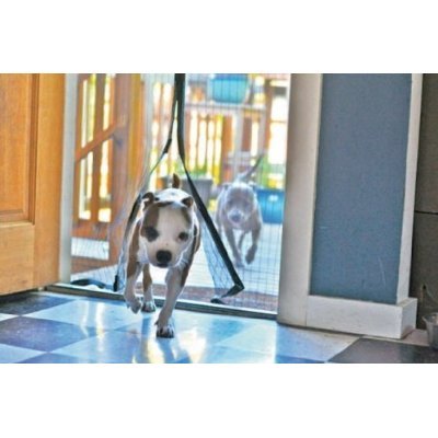 Zanzariera con calamita ikea