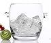 Luigi Bormioli Michelangelo Masterpiece Ice Bucket with Handles