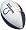 Indianapolis Colts