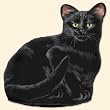 Ah Black Cat Doorstop &copy; Adeline Halvorson