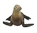 Safari Ltd. Sea Lion Figurine - Detailed 3.1