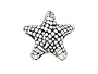 Zable(tm) Sterling Silver Star Fish, Large Bead / Charm