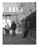 Watching the World Go By Still Life Photographic Poster Print by A. Phillips, 20x24